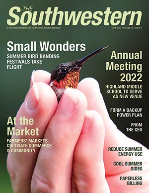 Ruby-throated hummingbird in the hand of a bird banding ornithologist from Springfield