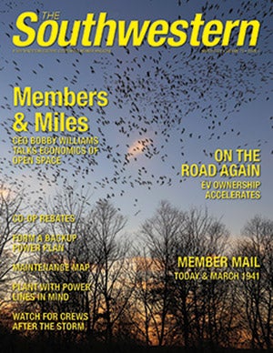 March 2021 Cover / Birds Rising Against A Dark Sky