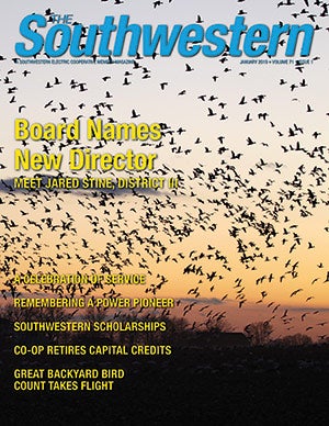 January 2019 Cover
